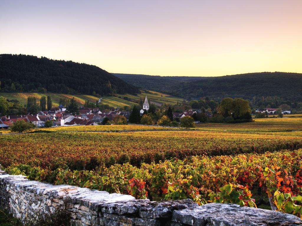 Bourgogne Pinot Noir "Septembre" rouge 2023 - Maison Edouard Delaunay