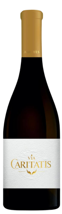 Ventoux Abbayes Syrah rouge 2020 - Via Caritatis