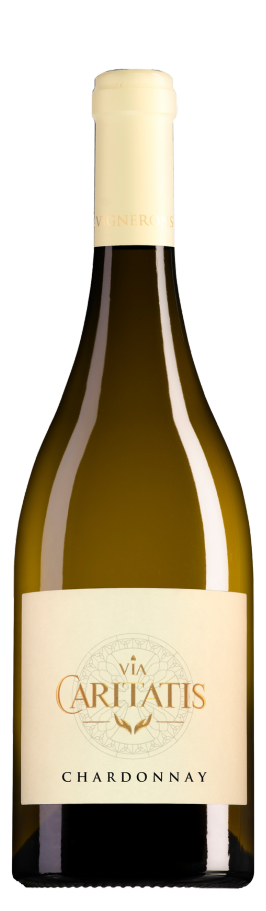 Chardonnay blanc 2024 - Via Caritatis