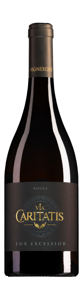 Ventoux Lux rouge 2022 - Via Caritatis