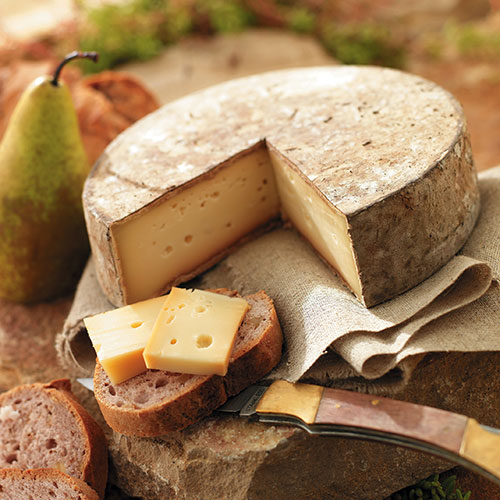 Accords des vins avec les fromages à pâtes pressées non-cuites